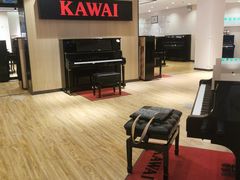 -柏斯音乐艺术中心·钢琴·吉他(上音店)
