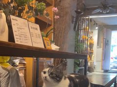 -泰·菩提树下[泰式按摩x精油SPAx肩颈头疗](新景店)