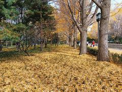 -玲珑塔公园