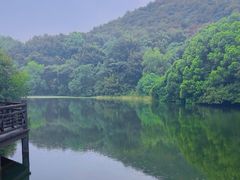 -白马涧龙池景区