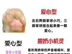 -瑞鹏宠物医院·骨外科·心肾科·肿瘤科(九亭店)