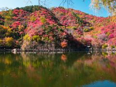 -九如山休闲旅游度假区