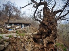 -大平台龙居瀑布旅游区