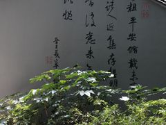 -兰亭风景区
