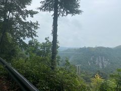 -宁波余姚老柿林山居度假村