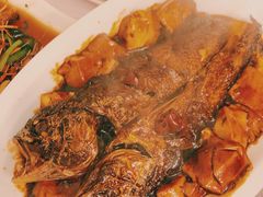 红烧豆腐烩小黄鱼-玲珑餐厅(陕西南路店)