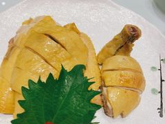 -骏莱海鲜鱼港(五角场店)