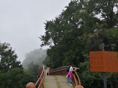-少华山国家森林公园