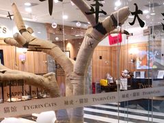 -袖虎·猫馆(体育西路店)