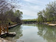 -云岗森林公园