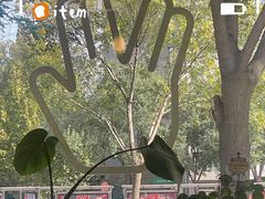 -BE YOLO必有乐&小红帽三明治