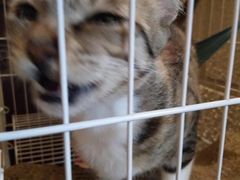 -逃脱反斗城沉浸剧情密室(北京路店)