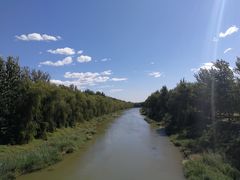 -东郊湿地公园