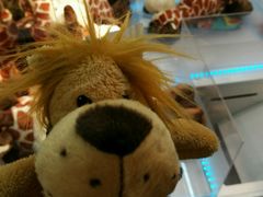 -PAWTOY爪e玩偶店(天兴罗斯福店)