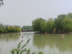 -泗洪洪泽湖湿地景区