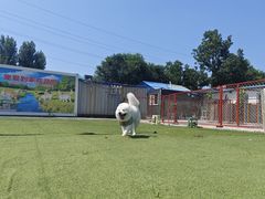 -宠物寄养训练学校