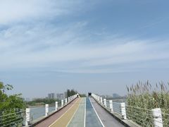 -贡湖湾湿地公园