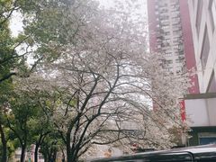 -玛格萝妮比萨屋(四平店)