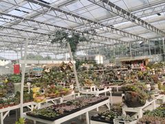 -三圣花乡旅游区