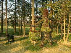 -上海长兴岛郊野公园