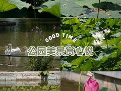 -洛阳市隋唐城遗址植物园