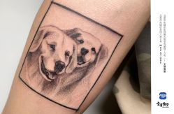 点击看大图 -MDZ STORE·TATTOO·耳饰