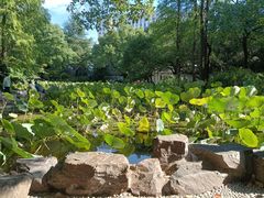 -人民公园-相亲角