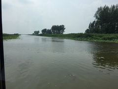 -微山湖红荷湿地景区