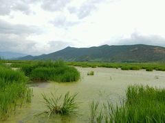 -泸沽湖国家级风景名胜区走婚桥