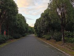 -上海海湾国家森林公园