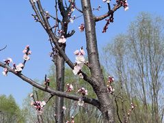 -汉长安城未央宫国家考古遗址公园