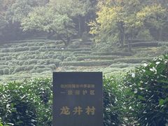 -阿巧茶庄