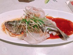 -四姐妹东北饺子(沙尾路店)
