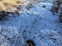 -北京麋鹿生态实验中心