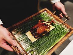 -蝶舍·MAISON PAPILLON