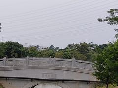 -王借岗森林公园