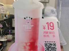 -一只酸奶牛(八一路店)