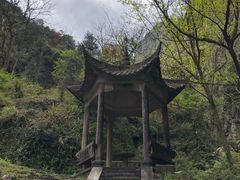 -雁荡山雁湖景区