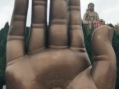 -龙口南山旅游景区