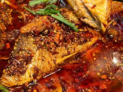 -听香·678茶铺(猛追湾店)
