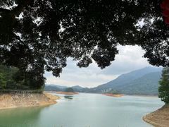-广州市流溪河国家森林公园
