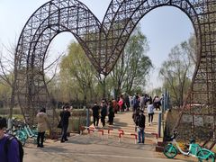 -长白岛森林公园