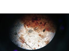 -艾贝尔宠物诊疗