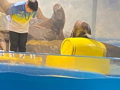-梦幻海洋王国(吾悦广场张家港店)