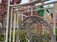 -廊坊固安福朋喜来登酒店