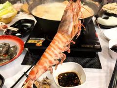 -鲜入围煮花胶鸡海鲜火锅