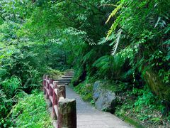 -西岭雪山大飞水景区