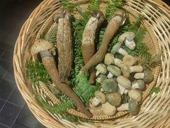 -翠湖里(翠湖南路店)