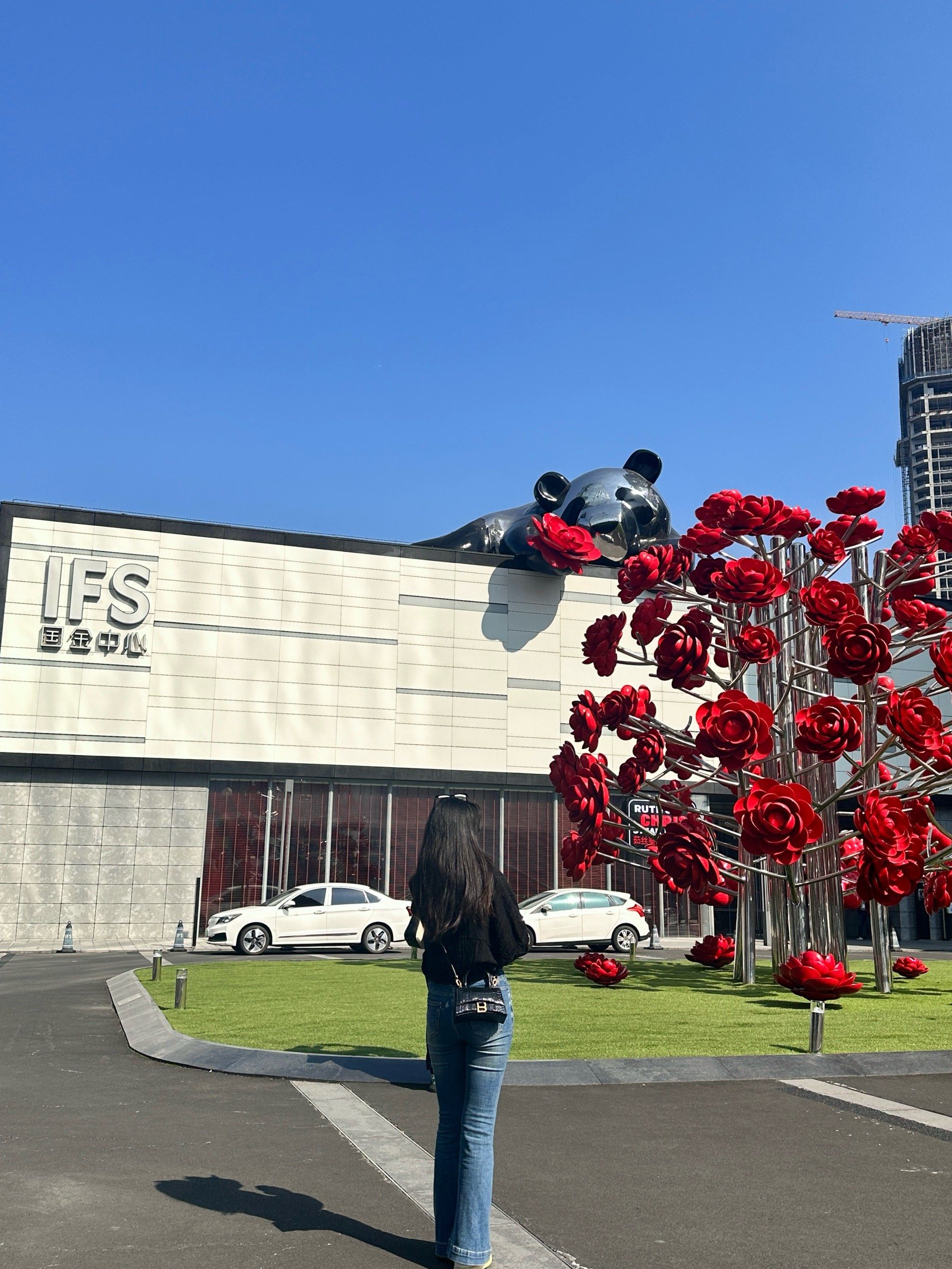 太阳下的ifs玫瑰熊猫🐼