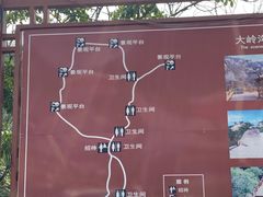 -大岭沟猕猴桃谷风景区